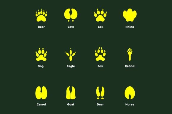 Animal Footprint Vector Icons Review