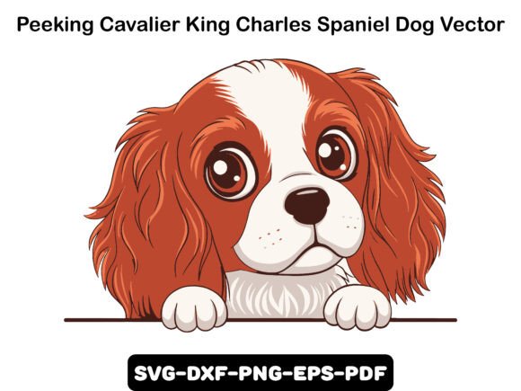 Peeking Cavalier King Charles Spaniel Review