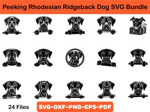Peeking Rhodesian Ridgeback Dog SVG