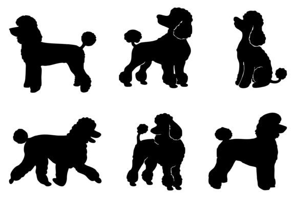 Poodle Silhouette SVG Bundle Review
